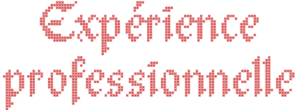 EXPÉRIENCE PROFESSIONNELLE